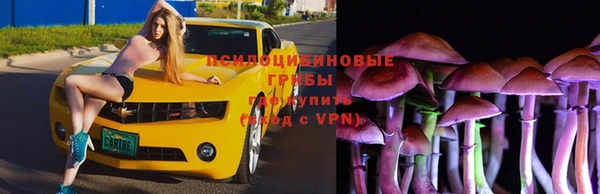 соль ск Горнозаводск