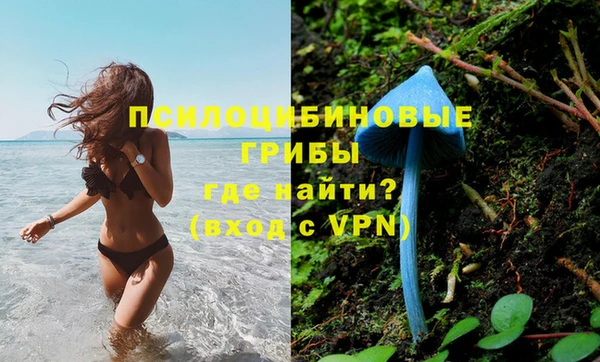 соль ск Горнозаводск