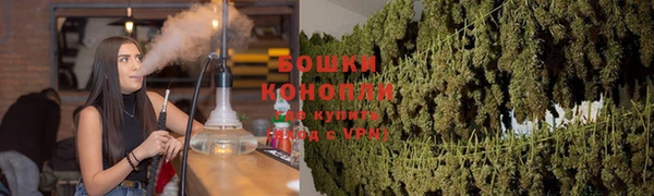 соль ск Горнозаводск