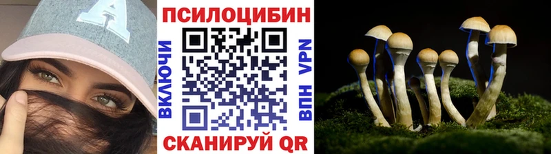 Псилоцибиновые грибы GOLDEN TEACHER  Купить закладки  Пыталово 